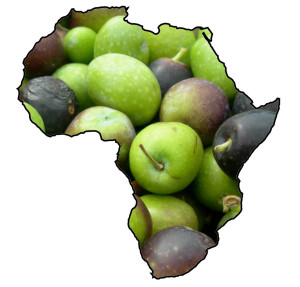 Olive Africa