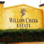 Willow Creek Follow The Olive