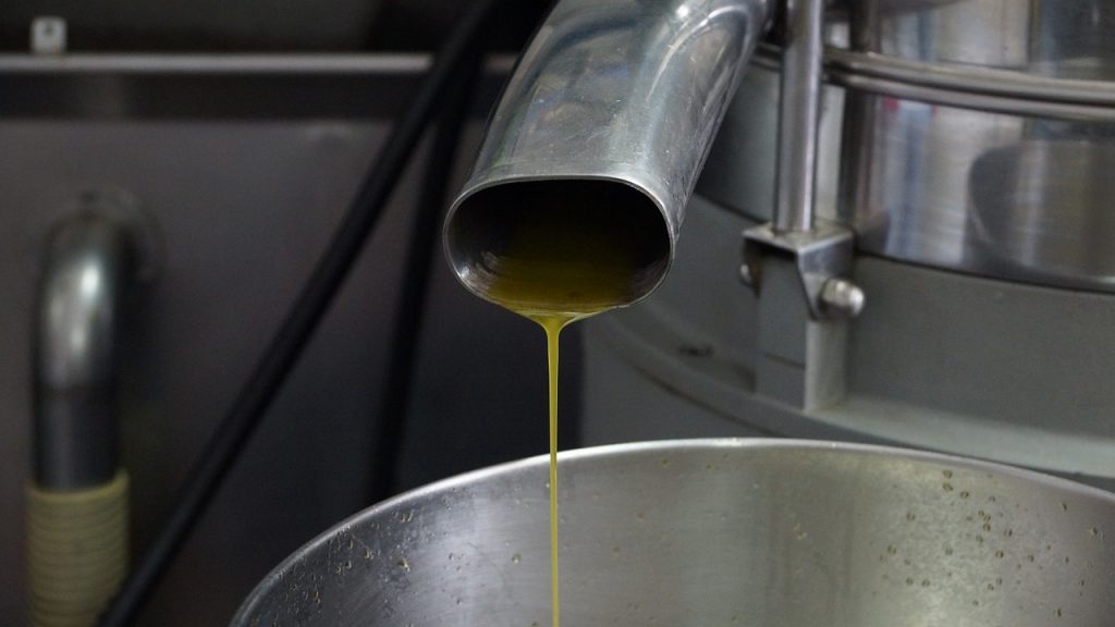 olive-oil-production