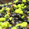 olives