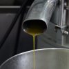 olive-oil-production